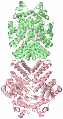 Image Biological Unit 2
