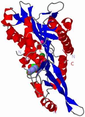 Image Asym./Biol. Unit