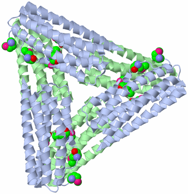 Image Biological Unit 2