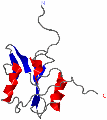 Image NMR Structure - model 1