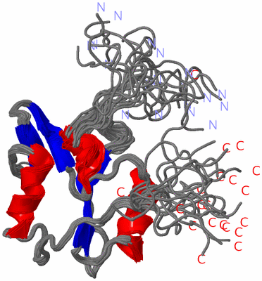 Image NMR Structure - all models