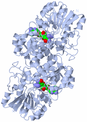 Image Biological Unit 1