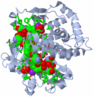 Image Biol. Unit 1 - sites