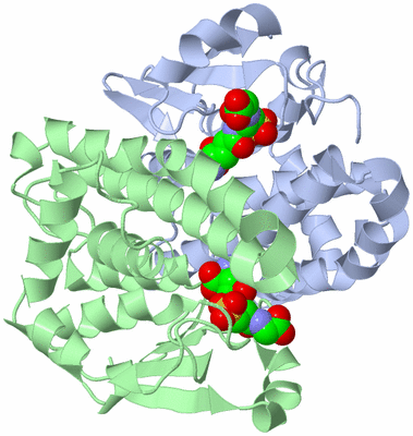 Image Asym./Biol. Unit