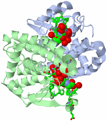 Image Asym./Biol. Unit - sites