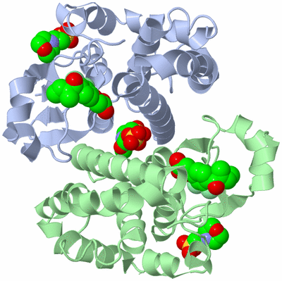 Image Asym./Biol. Unit