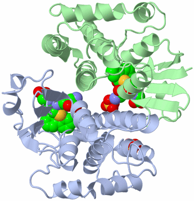 Image Asym./Biol. Unit