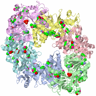 Image Asym./Biol. Unit