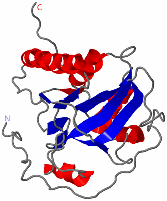 Image NMR Structure - model 1