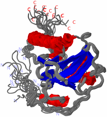 Image NMR Structure - all models