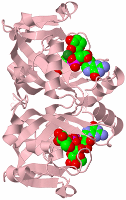 Image Biological Unit 2