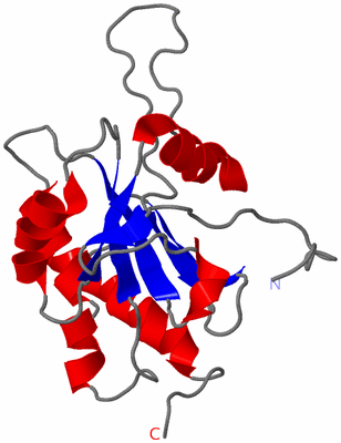 Image NMR Structure - model 1