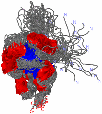 Image NMR Structure - all models