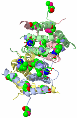 Image Asym./Biol. Unit - sites