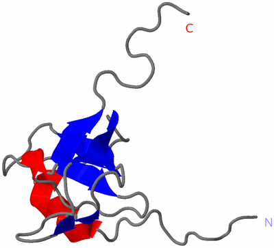 Image NMR Structure - model 1