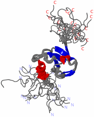 Image NMR Structure - all models