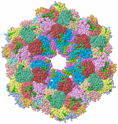 Image Biol. Unit 1 - sites