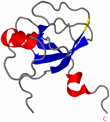 Image NMR Structure - model 1