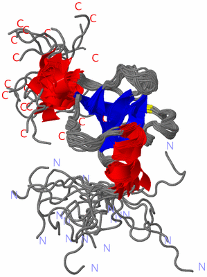 Image NMR Structure - all models