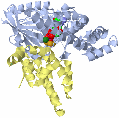 Image Biological Unit 1