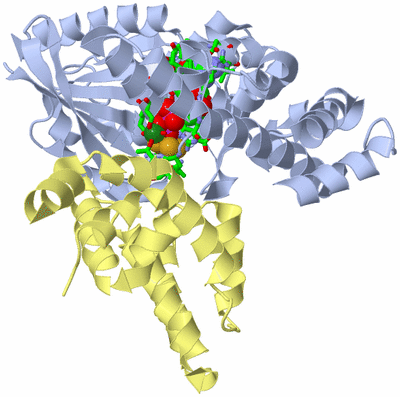 Image Biol. Unit 1 - sites