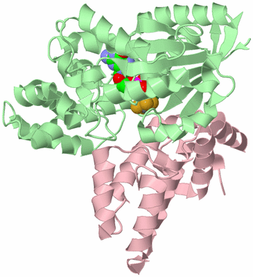 Image Biological Unit 2