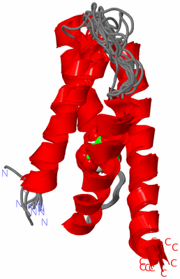 Image NMR Structure - all models