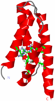 Image NMR Structure - model 1, sites