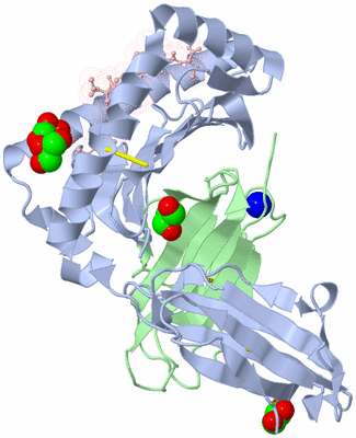 Image Biological Unit 1