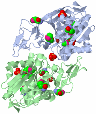 Image Biological Unit 1