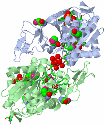 Image Biol. Unit 1 - sites