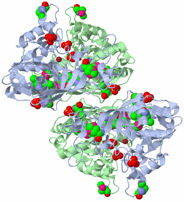 Image Biological Unit 2