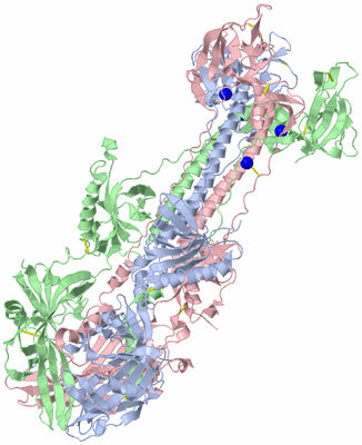 Image Asym./Biol. Unit