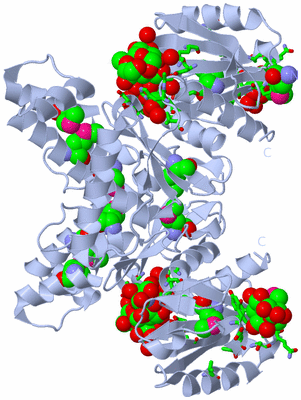 Image Biol. Unit 1 - sites