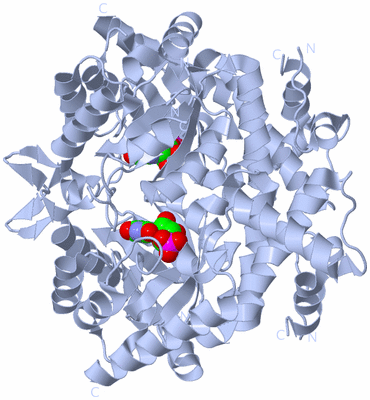 Image Biological Unit 1