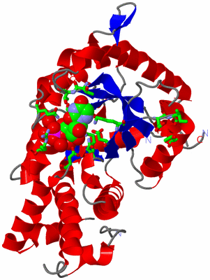 Image Asym. Unit - sites