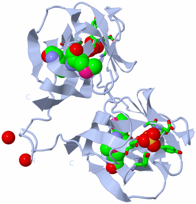 Image Biol. Unit 1 - sites