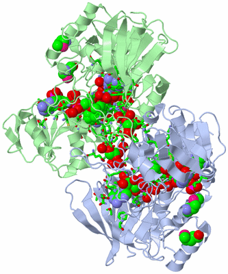 Image Asym./Biol. Unit - sites