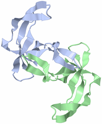 Image NMR Structure - model 1