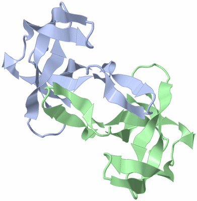 Image NMR Structure - model 1