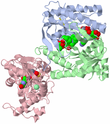 Image Asym./Biol. Unit