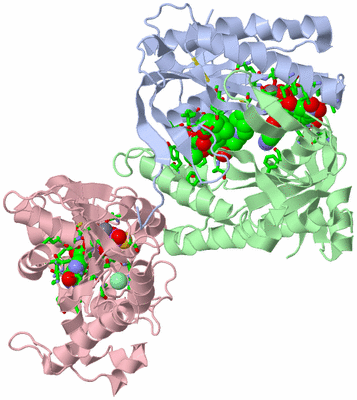 Image Asym./Biol. Unit - sites