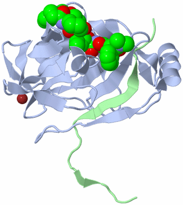 Image Biological Unit 1