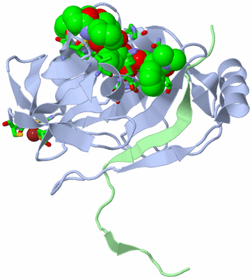 Image Biol. Unit 1 - sites