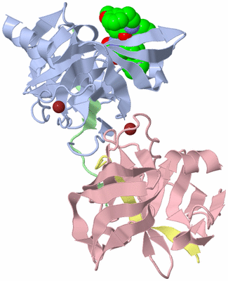 Image Biological Unit 3