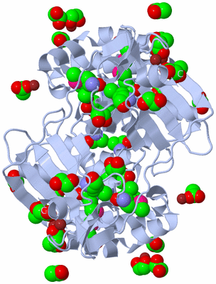 Image Biological Unit 1