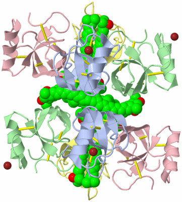 Image Biological Unit 1