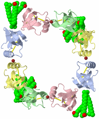 Image Biological Unit 2