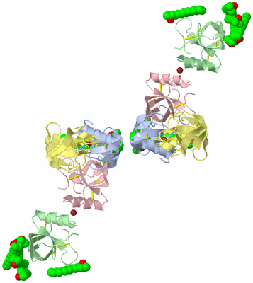 Image Biological Unit 3