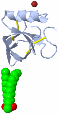 Image Biological Unit 4